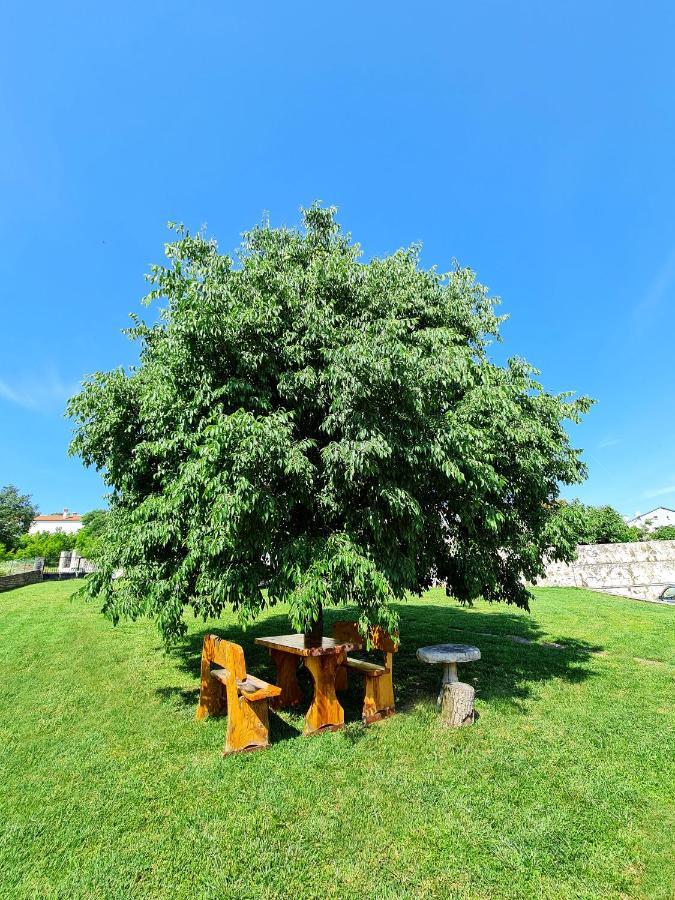 Guesthouse Casa Barbaro Rovinjsko Selo Exterior photo