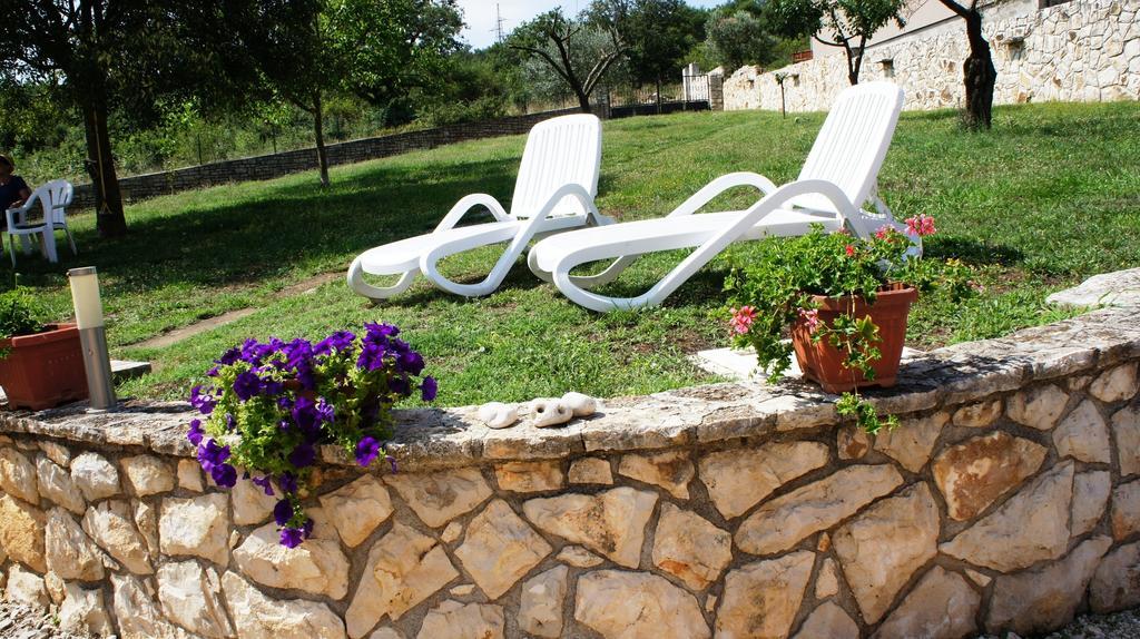 Guesthouse Casa Barbaro Rovinjsko Selo Exterior photo